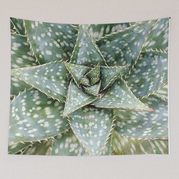 Item preview, Aloe Maculata Enhanced designed and sold by PLANTONE.