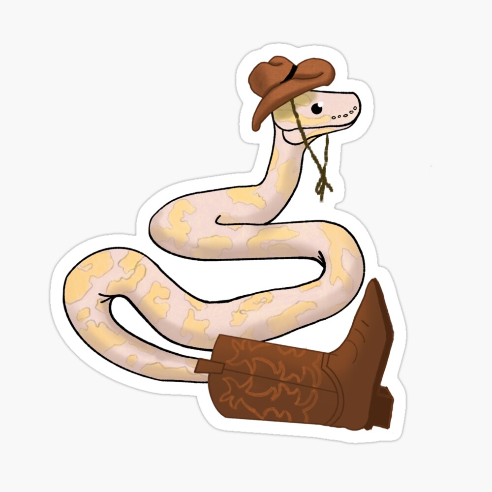 Cowboy Ball Python Poster for Sale by kennawind Redbubble