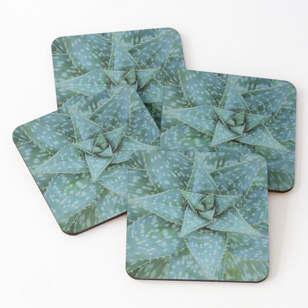 Item preview, Aloe Maculata Arctic designed and sold by PLANTONE.