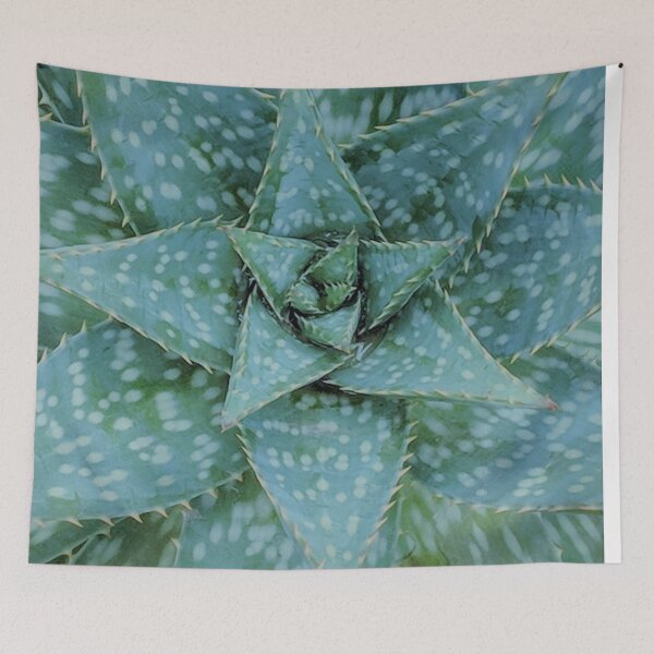 Item preview, Aloe Maculata Arctic designed and sold by PLANTONE.