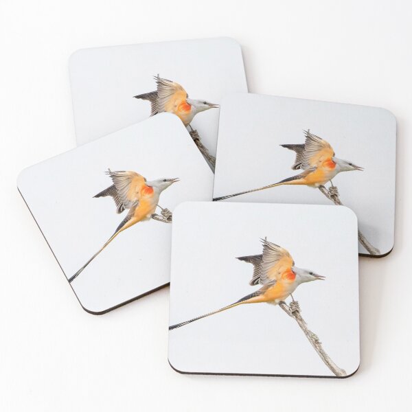 Item preview, Scissor Tailed Flycatcher designed and sold by SuddenJim.