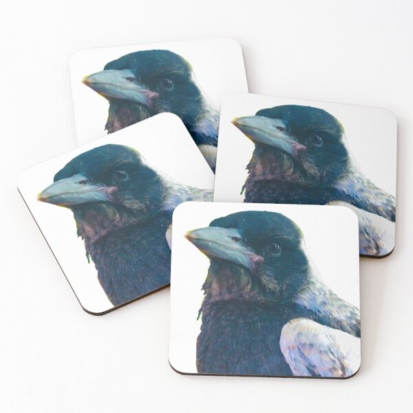 Item preview, Bub! Rescued Australian Juvenile Magpie.  designed and sold by YollieBeeArt.
