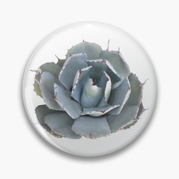 Item preview, Succulent Plant designed and sold by FiveDucklings.
