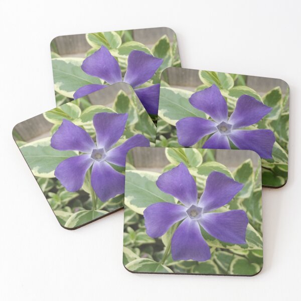 Item preview, Periwinkle designed and sold by greentiger1.