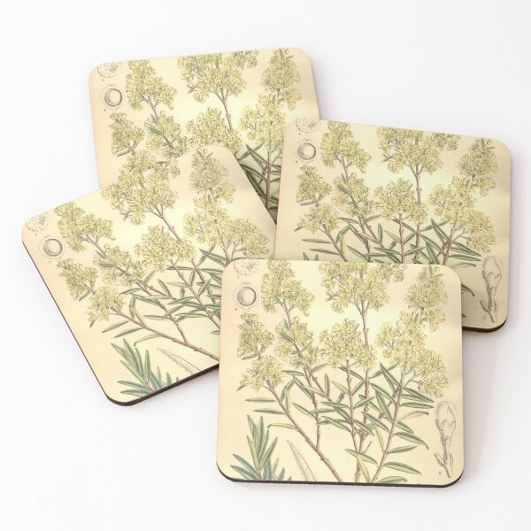 Item preview, Curtis's botanical magazine (Tab. 8123) (9600849560) designed and sold by EsotericBotanic.