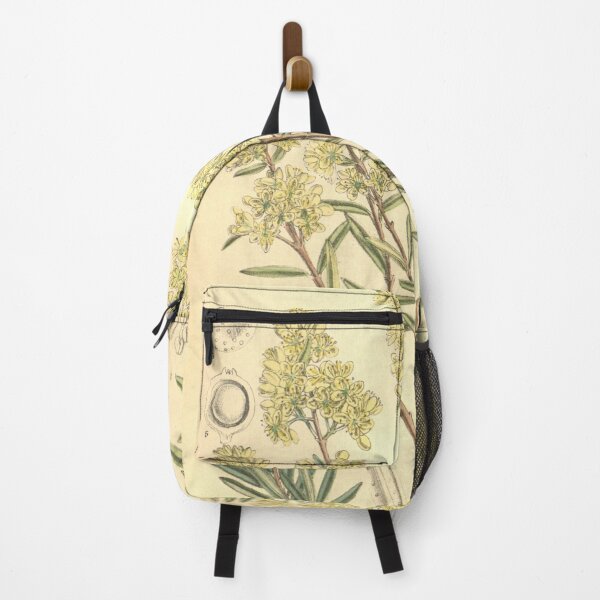 Item preview, Curtis's botanical magazine (Tab. 8123) (9600849560) designed and sold by EsotericBotanic.