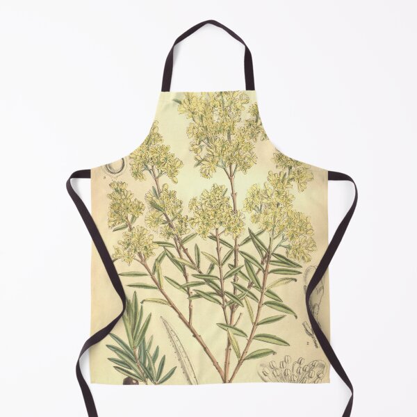 Item preview, Curtis's botanical magazine (Tab. 8123) (9600849560) designed and sold by EsotericBotanic.