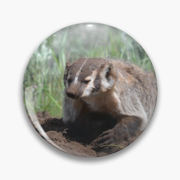 Item preview, badger digging it's den designed and sold by grizzbass.