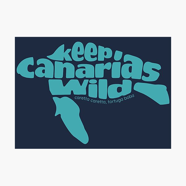 Item preview, KEEP CANARIAS WILD - TURTLE BOBA | BETWEEN LAVA AND SALITRE designed and sold by lava y salitre.