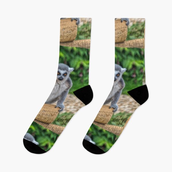 Item preview, Ring Tailed Lemur designed and sold by Dave Williams.