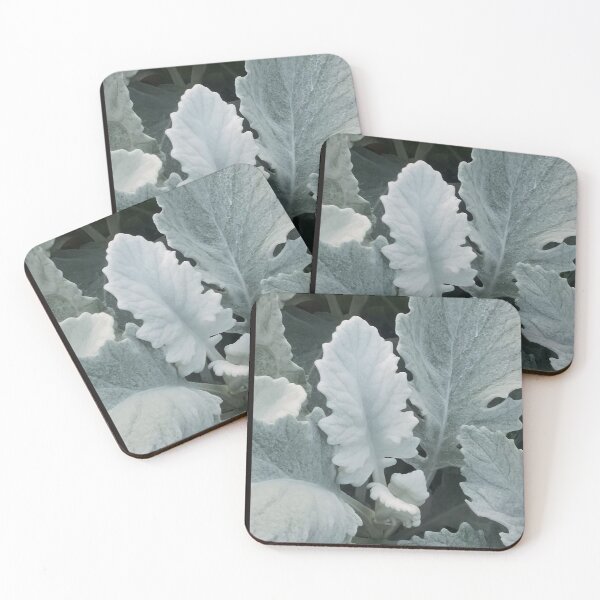 Item preview, Dusty Miller Plant Design designed and sold by marvacousins246.