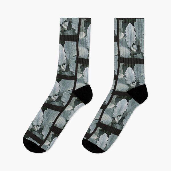 Item preview, Dusty Miller Plant Design designed and sold by marvacousins246.