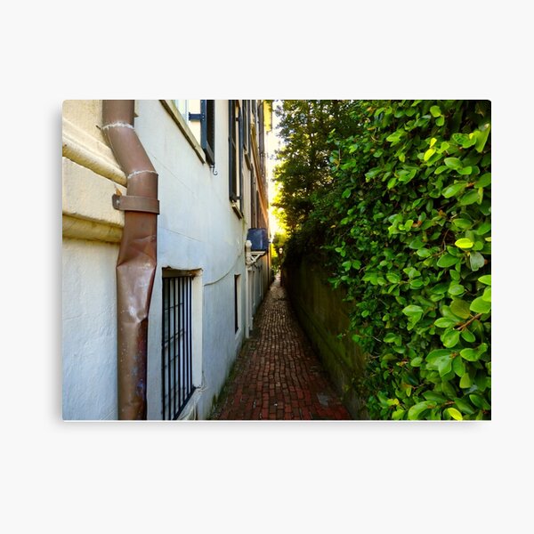 Item preview, Duck Down the Alleyway — Charleston Cobblestone designed and sold by Marielle Valenzuela.