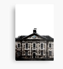old building Metal Print