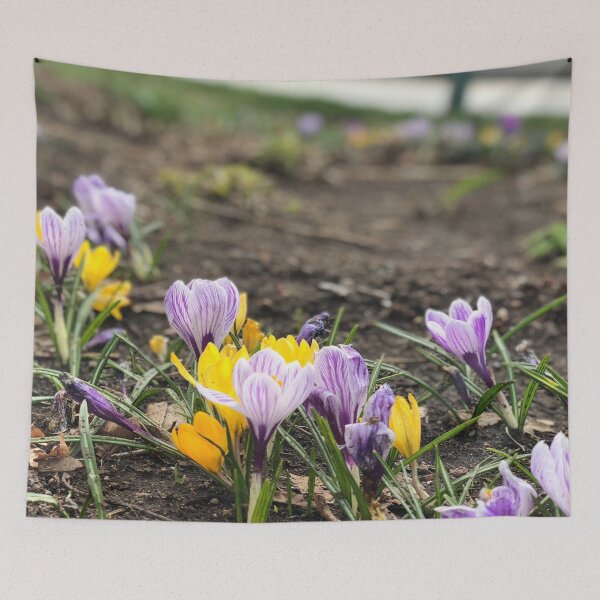 Item preview, Little flower during winter designed and sold by everafter1902.