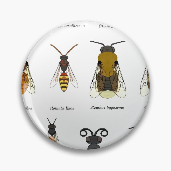 Item preview, Bees and wasps of Europe designed and sold by Cendino.