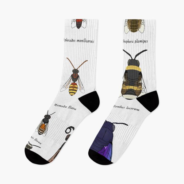 Item preview, Bees and wasps of Europe designed and sold by Cendino.