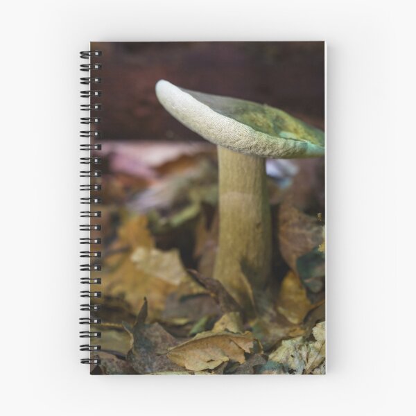Item preview, automnal bolete designed and sold by Manon Boily.