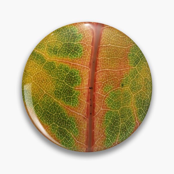 Item preview, Leaf designed and sold by ThreeTrees.