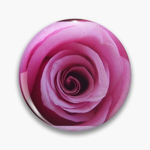 Item preview, Pink rose designed and sold by therambler.