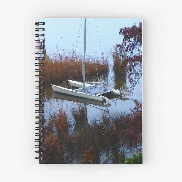 Item preview, Kitty Hawk Serenity designed and sold by Marielle Valenzuela.