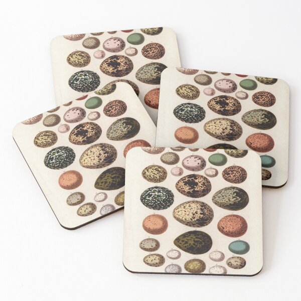 Item preview, Bird's eggs 01 - Cassell's book of birds - vintage zoology print 1869 designed and sold by Gardenlibrary.