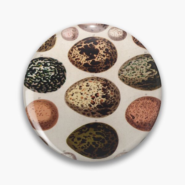 Item preview, Bird's eggs 01 - Cassell's book of birds - vintage zoology print 1869 designed and sold by Gardenlibrary.