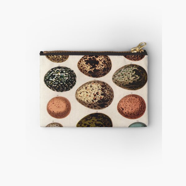 Item preview, Bird's eggs 01 - Cassell's book of birds - vintage zoology print 1869 designed and sold by Gardenlibrary.