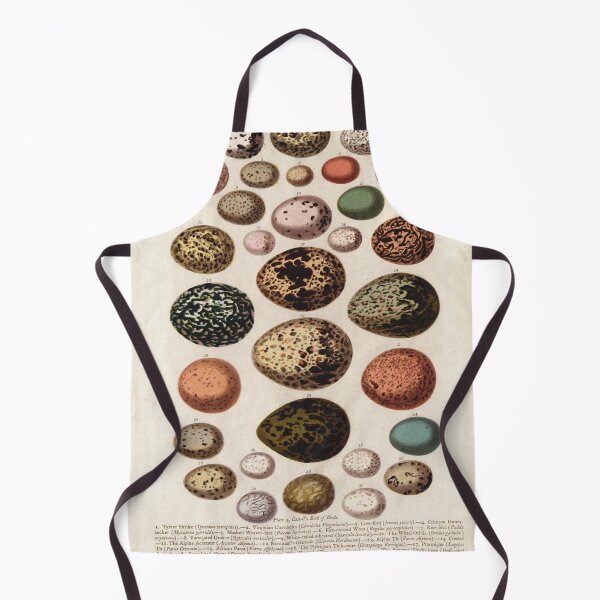 Item preview, Bird's eggs 01 - Cassell's book of birds - vintage zoology print 1869 designed and sold by Gardenlibrary.
