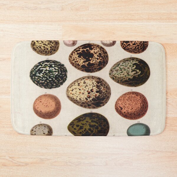 Item preview, Bird's eggs 01 - Cassell's book of birds - vintage zoology print 1869 designed and sold by Gardenlibrary.