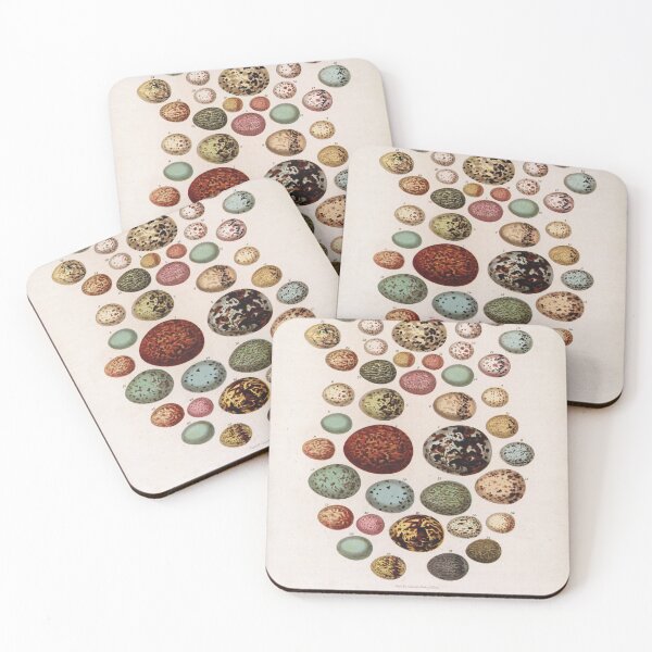 Item preview, Bird's eggs 02 - Cassell's book of birds - vintage zoology print 1869 designed and sold by Gardenlibrary.