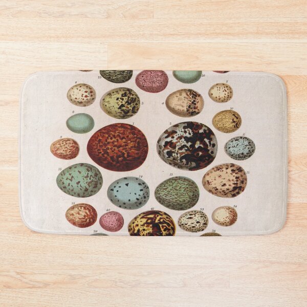 Item preview, Bird's eggs 02 - Cassell's book of birds - vintage zoology print 1869 designed and sold by Gardenlibrary.