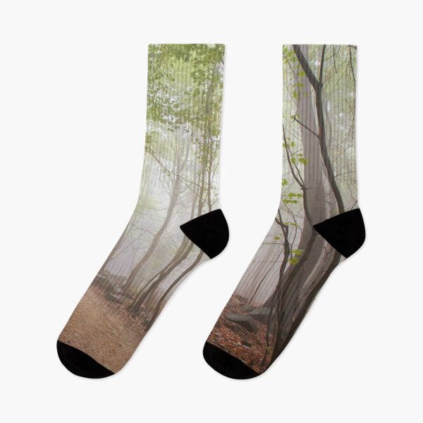 Item preview, A Walk In The Foggy Forest designed and sold by Dominika Aniola.
