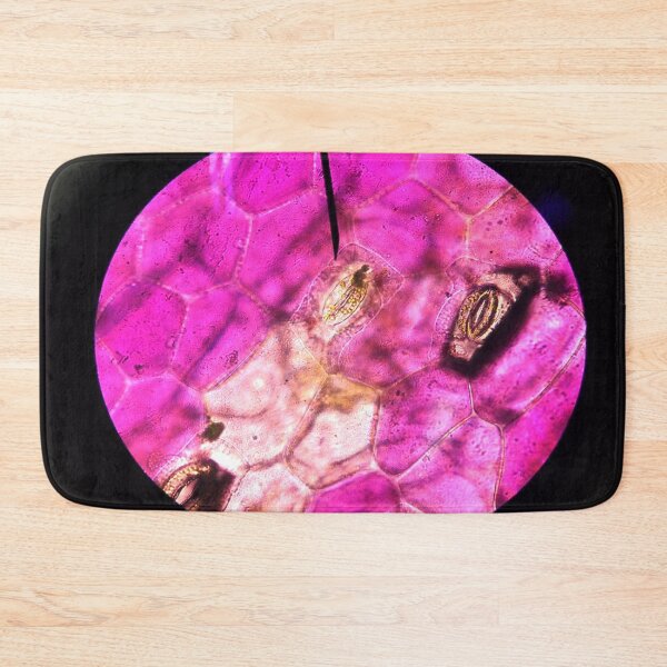 Item preview, Science photo through Microscope of plant (stoma) designed and sold by everafter1902.