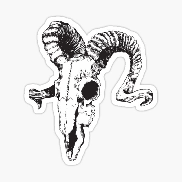Aries Skull Sticker