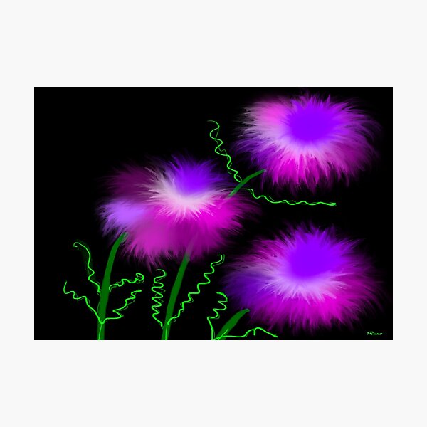 Bright and beautiful collection, pink flowers Photographic Print