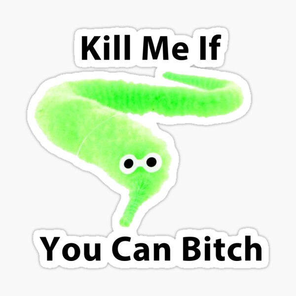 Kill Me If You Can Bitch - Worm On A String