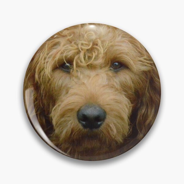 Item preview, Labradoodle designed and sold by LillyViolet.