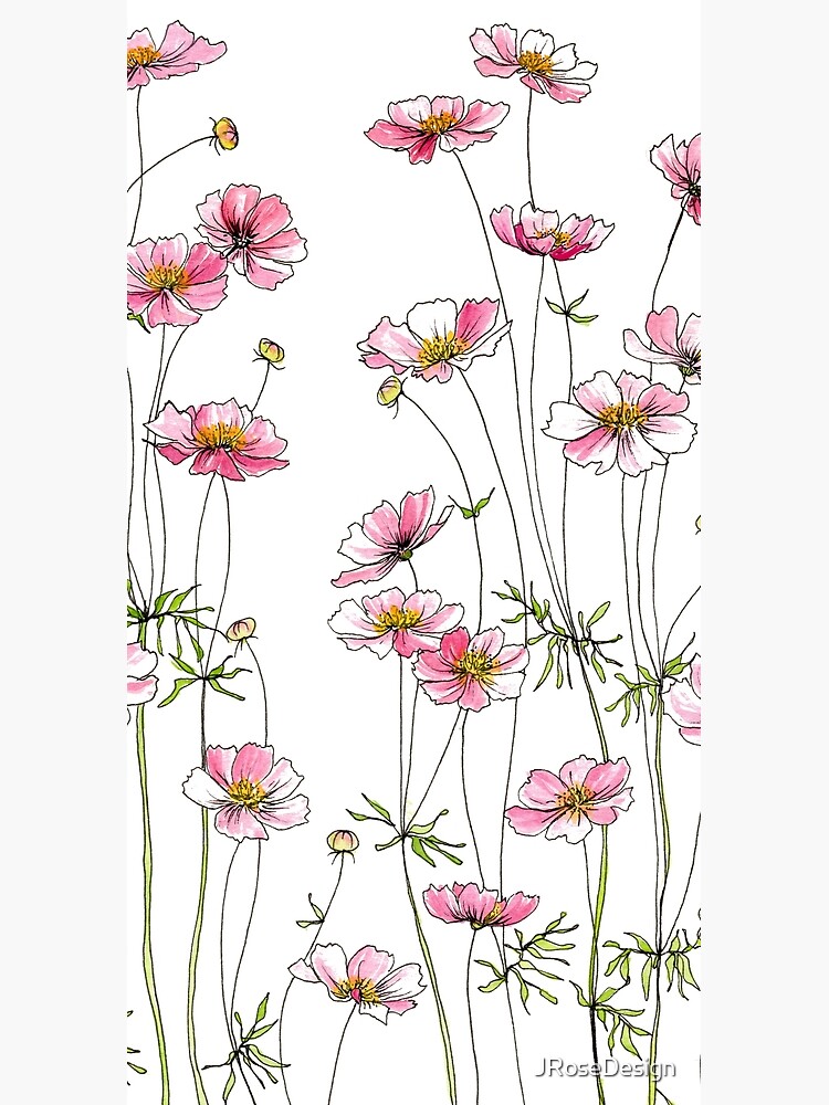 Pink Cosmos Flowers by JRoseDesign