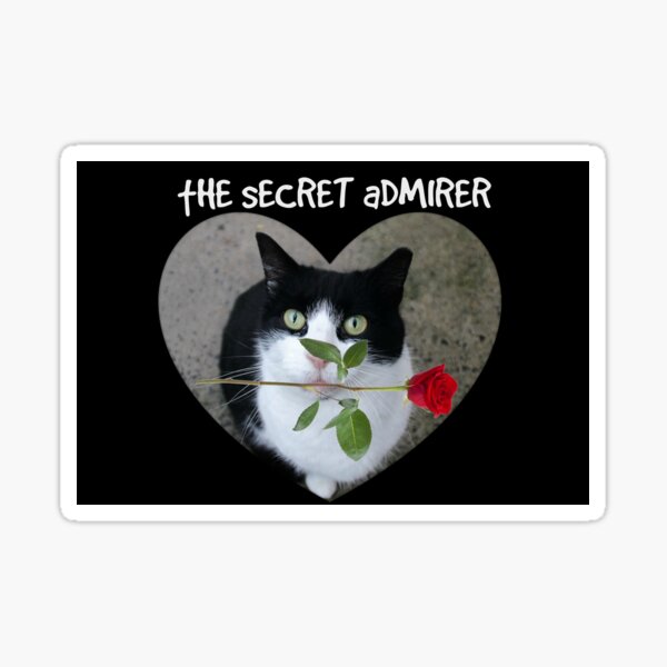 Item preview, The Secret Admirer designed and sold by Ladymoose.