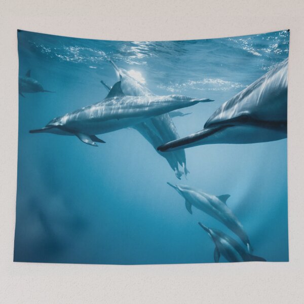 Item preview, Down in The Sea designed and sold by coolmerchplanet.