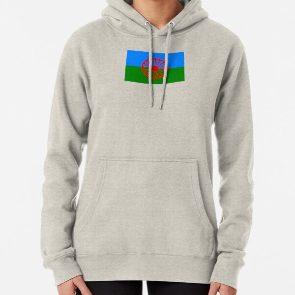 Bandera de la gente de Romani Sudadera con capucha