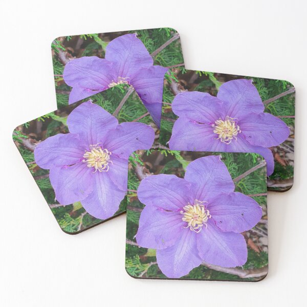 Item preview, Clematis designed and sold by tshirtmania20.