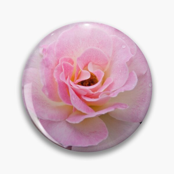 Item preview, Pink Frills designed and sold by Karen E Camilleri.
