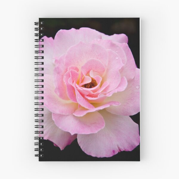 Item preview, Pink Frills designed and sold by Karen E Camilleri.