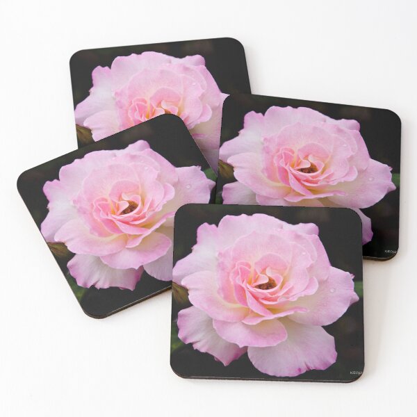 Item preview, Pink Frills designed and sold by Karen E Camilleri.