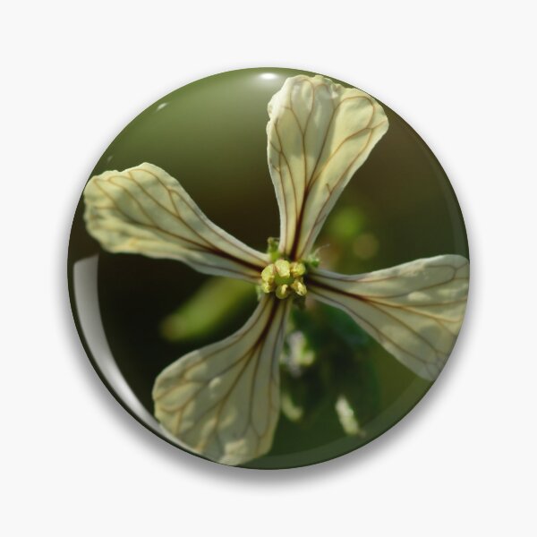 Item preview, Rocket flower in the garden designed and sold by wineandwords.