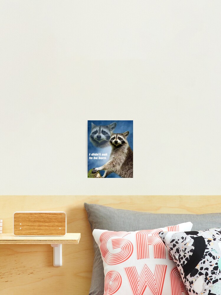 I Didn T Ask To Be Born Raccoon Meme Photographic Print By Tjb22 Redbubble