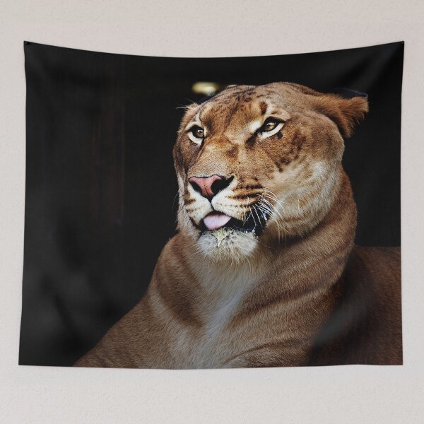 Item preview, HERCULES THE LIGER designed and sold by w1ckerman.