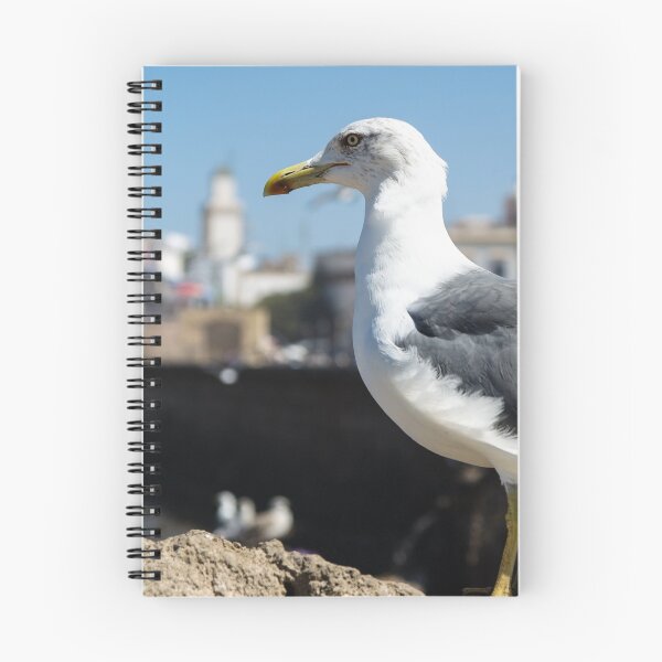 Item preview, Seagull of Essaouira designed and sold by djidiouf-photo.